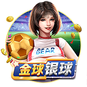 有钱任性！每日邮报：哈兰德花费33万英镑为女友购买爱马仕手提包